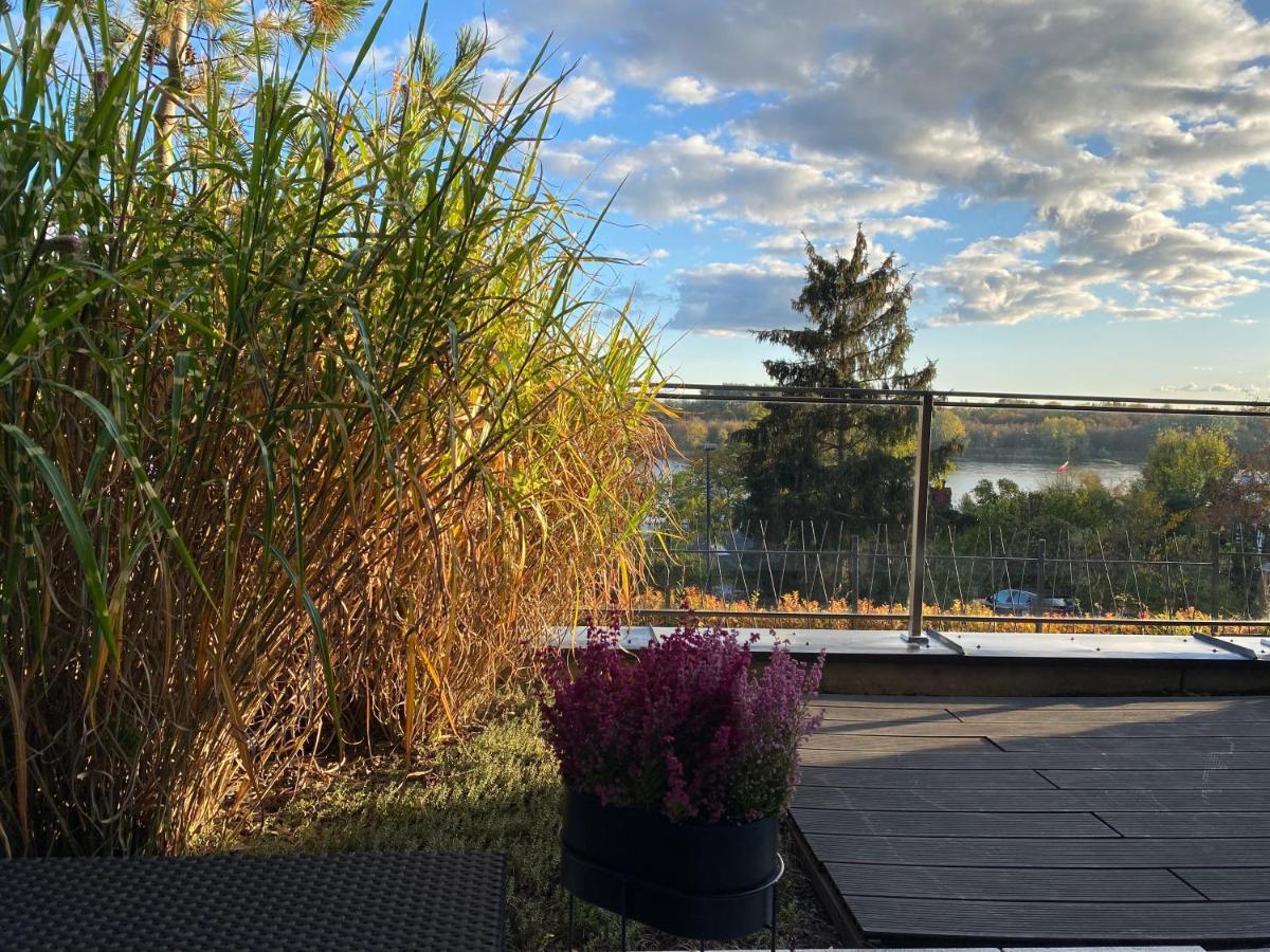 Apartament Winnica Stary Toruń Dış mekan fotoğraf